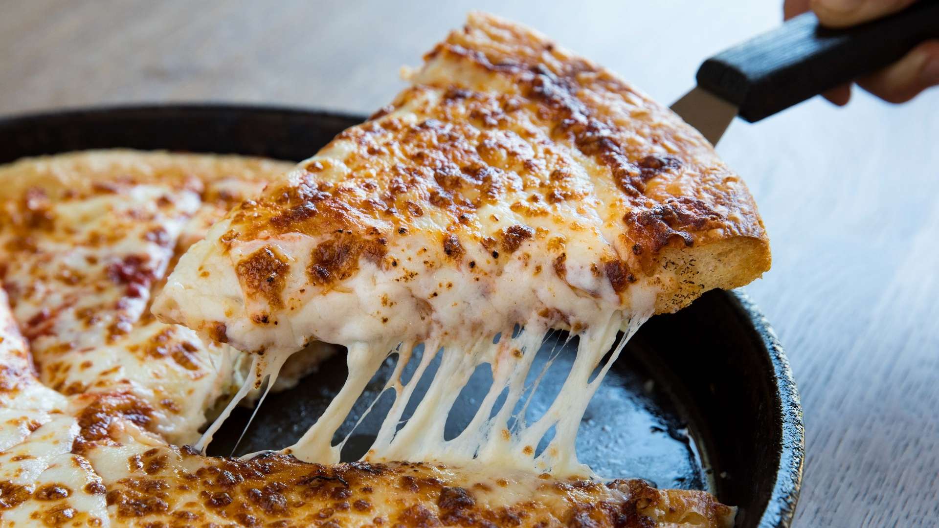 无论是黄蜂 无论是黄蜂